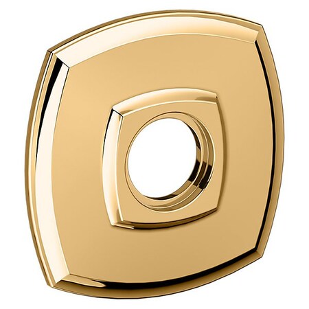 Baldwin Dummy Pair Rosettes Lifetime Brass 5058.003.FD